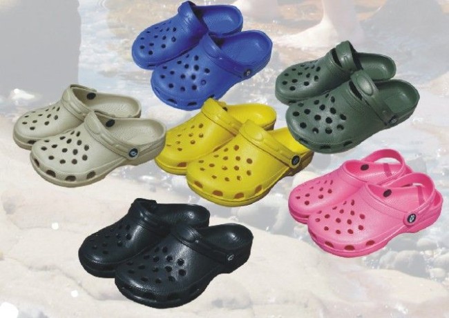 croc looking shoes